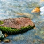 images67.jpg