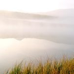 images97.jpg